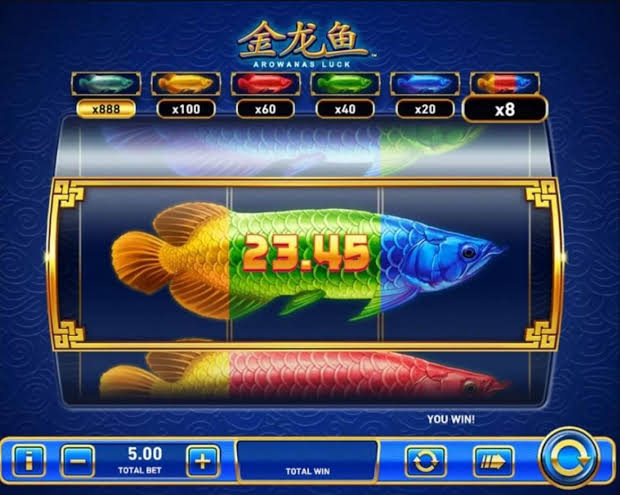Ikan Penuh Keberuntungan - Slot Arowanas Luck Playtech